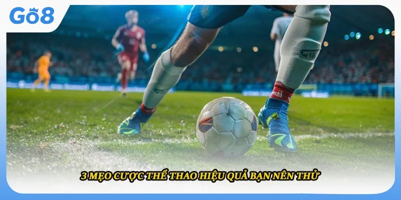 3 mẹo cược thể thao hiệu quả bạn nên thử