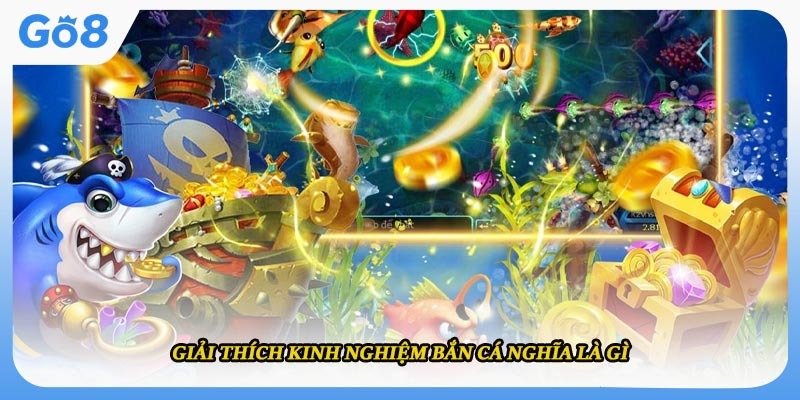 Giải thích kinh nghiệm bắn cá nghĩa là gì